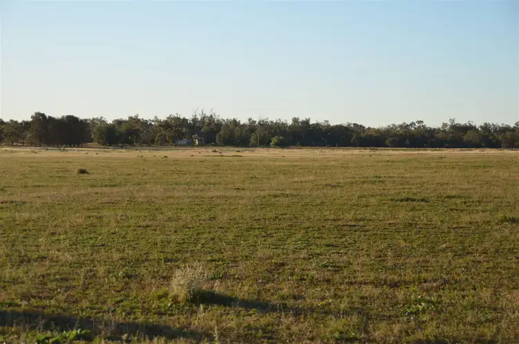 Seventh view of Homely rural property listing, * The Poplars, Lake Cargelligo NSW 2672