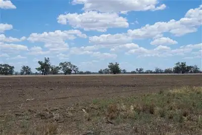 Fifth view of Homely rural property listing, . Middle Route Road, Burren Junction NSW 2386
