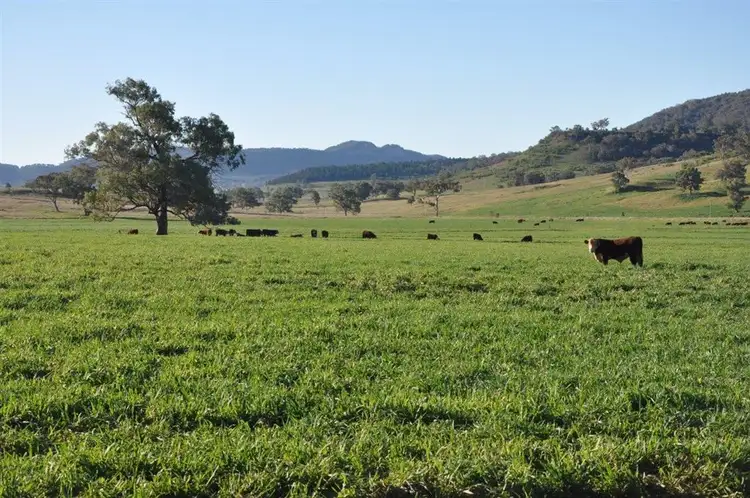 Third view of Homely rural property listing, 6749 Bylong Valley Way, Bylong NSW 2849