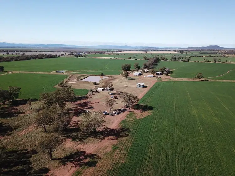 Main view of Homely rural property listing, 70 Nea Siding Road, Curlewis NSW 2381