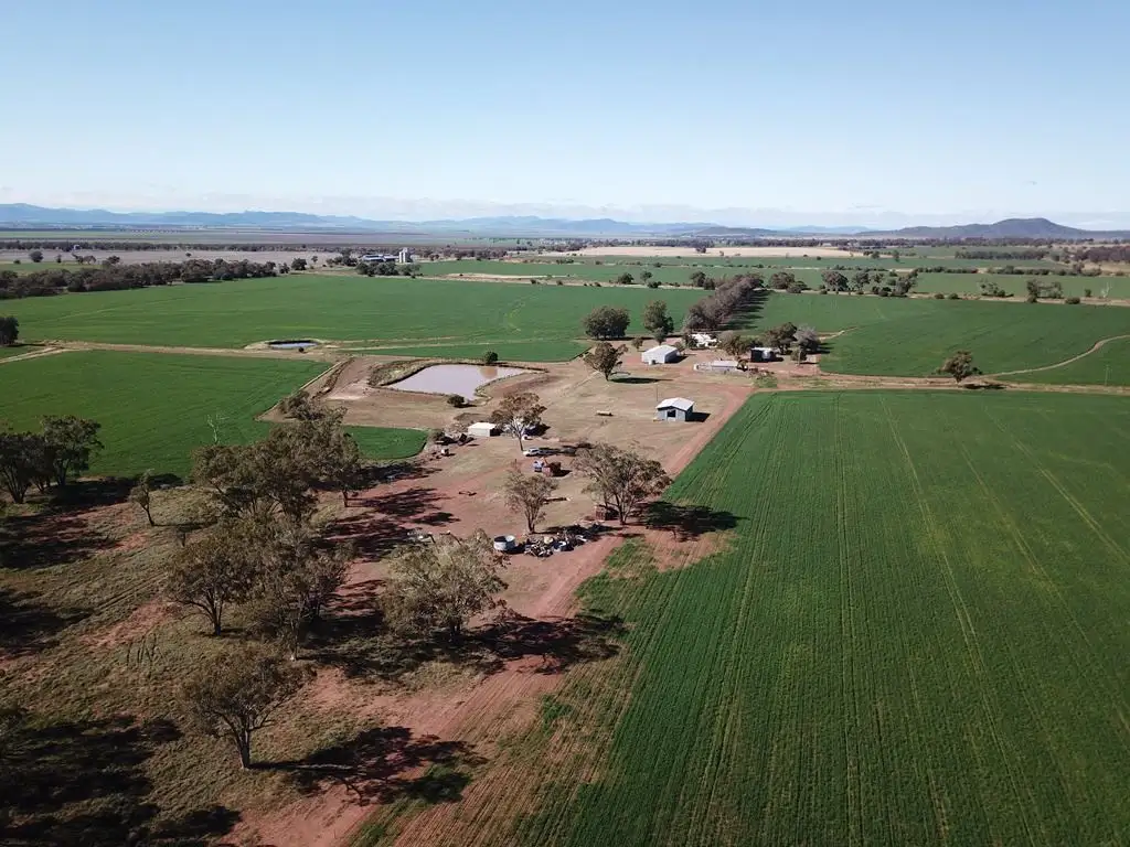 Main view of Homely rural property listing, 70 Nea Siding Road, Curlewis NSW 2381