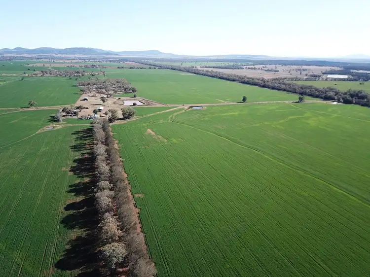 Second view of Homely rural property listing, 70 Nea Siding Road, Curlewis NSW 2381