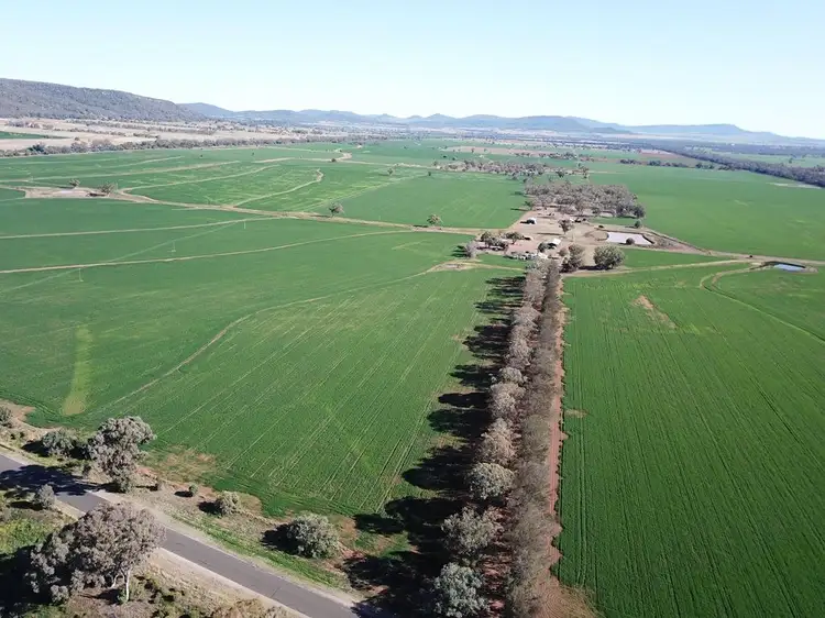 Third view of Homely rural property listing, 70 Nea Siding Road, Curlewis NSW 2381