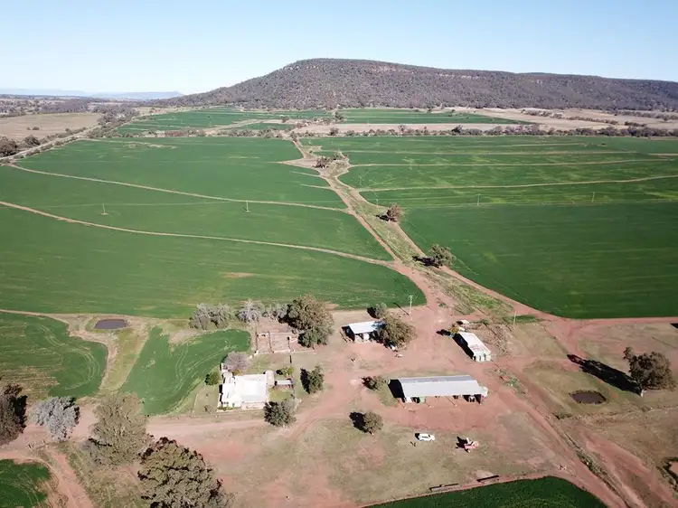 Fourth view of Homely rural property listing, 70 Nea Siding Road, Curlewis NSW 2381