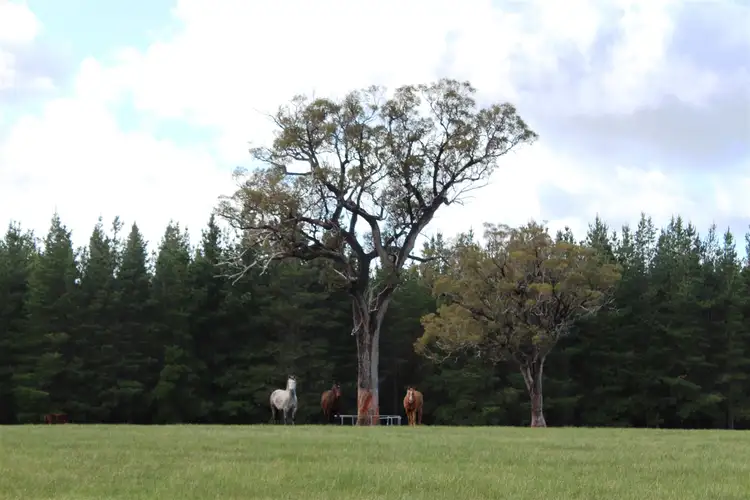177 Vanzuilecom Road, Kojonup WA 6395