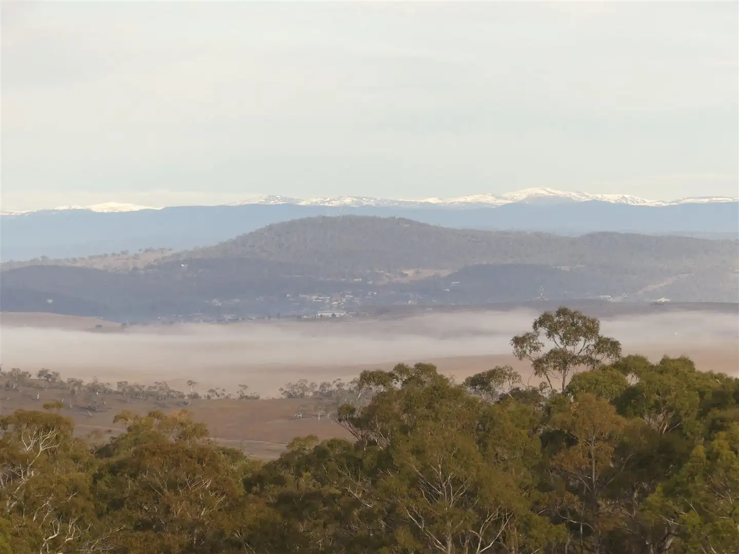 Main view of Homely rural property listing, 477 Collins Road, Cooma NSW 2630