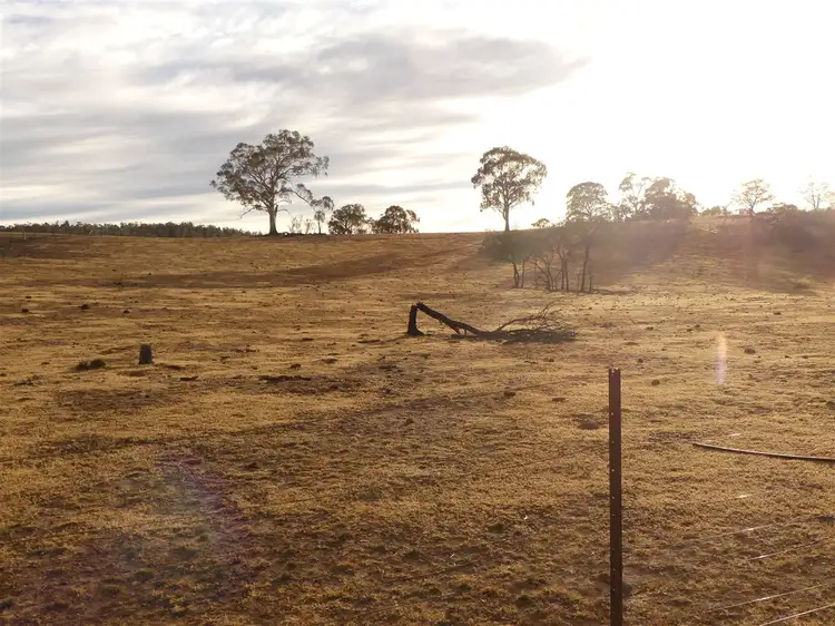 Fifth view of Homely rural property listing, 477 Collins Road, Cooma NSW 2630