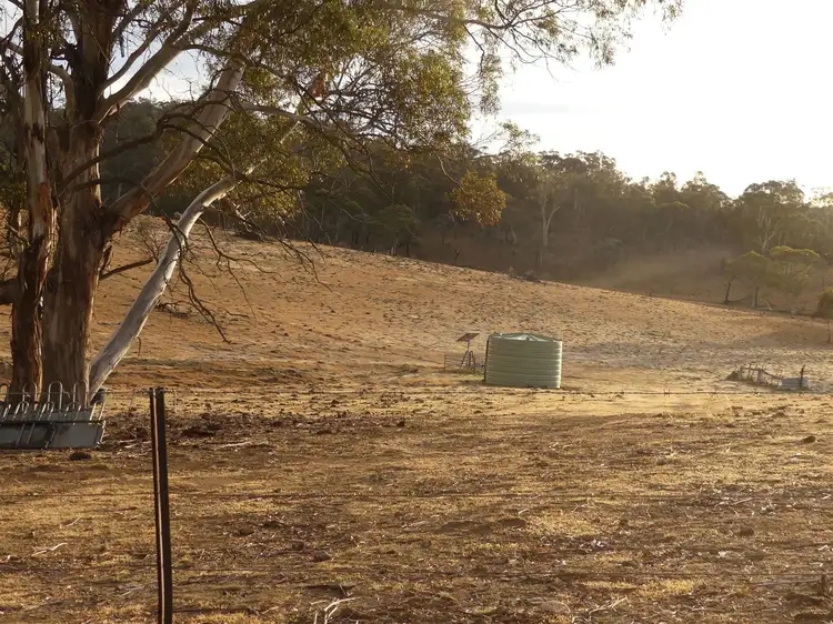 Seventh view of Homely rural property listing, 477 Collins Road, Cooma NSW 2630