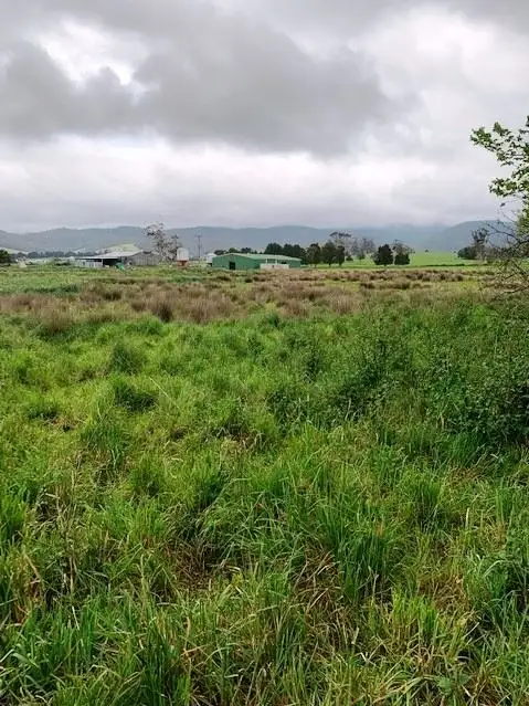 Second view of Homely land listing, PID6806953 Tasman Highway, Pyengana TAS 7216