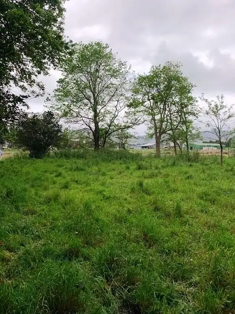 Third view of Homely land listing, PID6806953 Tasman Highway, Pyengana TAS 7216