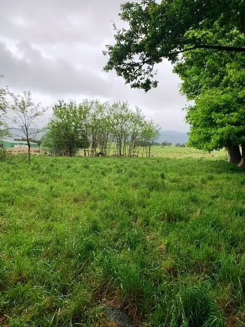 Fourth view of Homely land listing, PID6806953 Tasman Highway, Pyengana TAS 7216