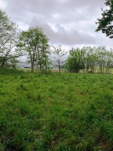 Fifth view of Homely land listing, PID6806953 Tasman Highway, Pyengana TAS 7216