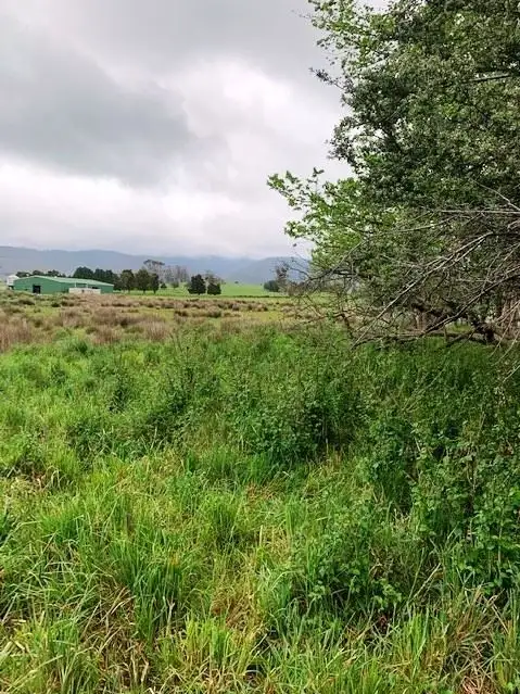 Sixth view of Homely land listing, PID6806953 Tasman Highway, Pyengana TAS 7216