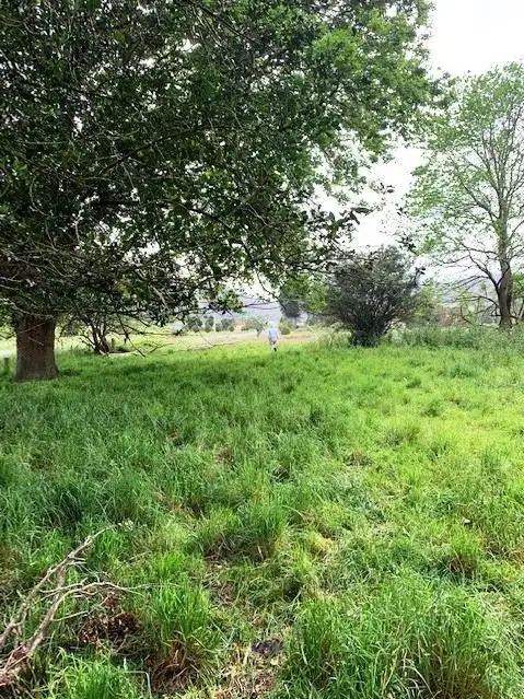 Seventh view of Homely land listing, PID6806953 Tasman Highway, Pyengana TAS 7216