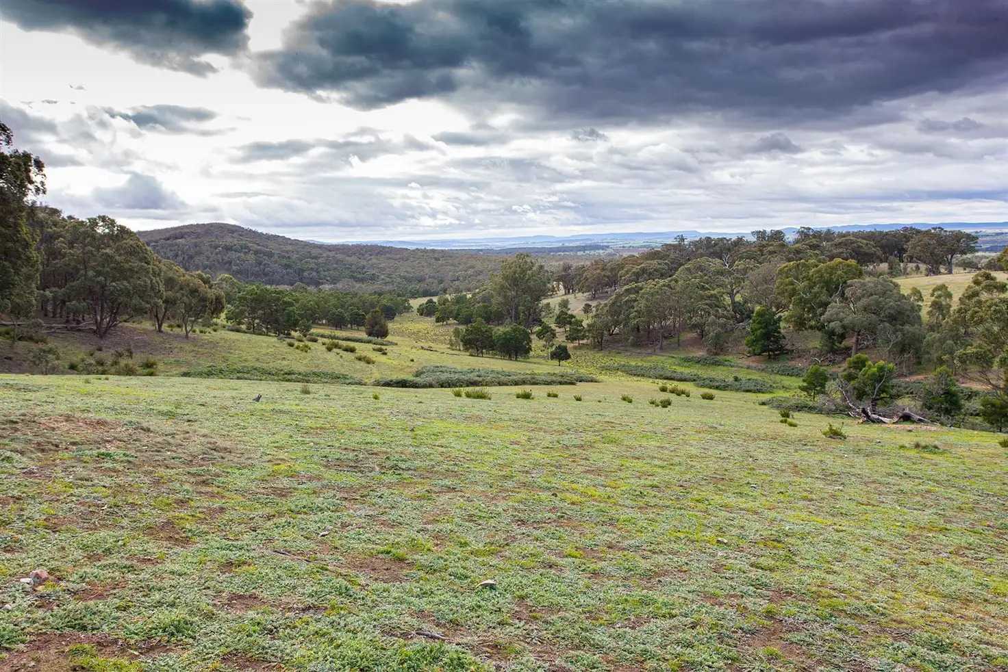 Main view of Homely rural property listing, Address available on request