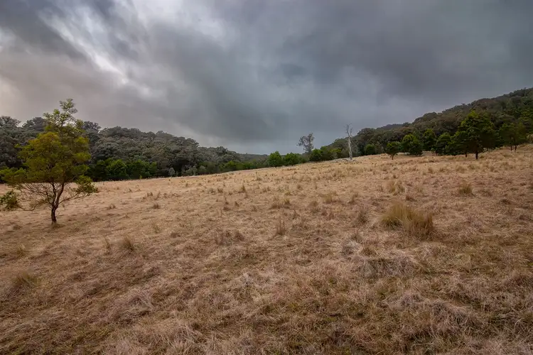 Fourth view of Homely rural property listing, Lot 1, 545 Browns Road, Goulburn NSW 2580