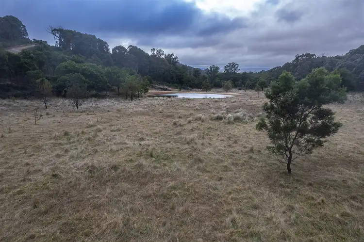 Seventh view of Homely rural property listing, Lot 1, 545 Browns Road, Goulburn NSW 2580