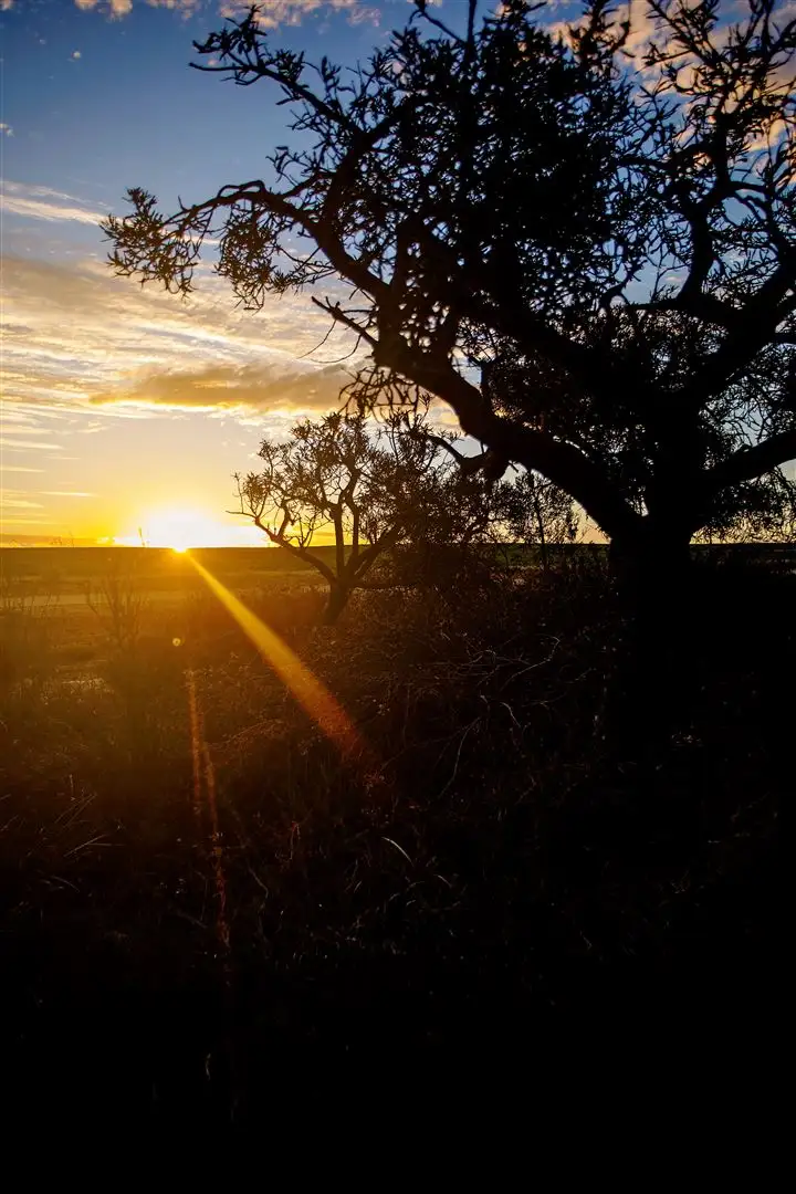 Fourth view of Homely land listing, 28 Orchid Road, Hopetoun WA 6348