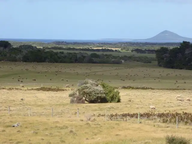 Main view of Homely house listing, 568 Lady Barron Road, Whitemark TAS 7255