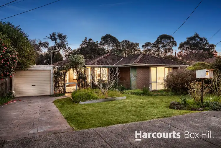 Main view of Homely house listing, 39 Roberts Avenue, Box Hill South VIC 3128