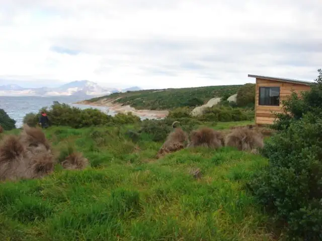 . Little Dog Island, Flinders Island TAS 7255