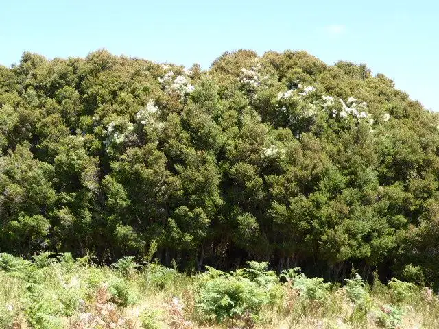 Sixth view of Homely land listing, PID 2205333 Coast Road, Lady Barron TAS 7255