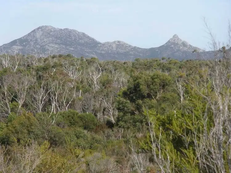 Second view of Homely rural property listing, Lot 1 Memana Road, Whitemark TAS 7255