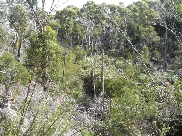Third view of Homely rural property listing, Lot 1 Memana Road, Whitemark TAS 7255
