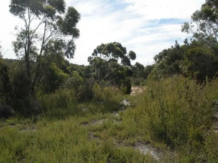 Fourth view of Homely rural property listing, Lot 1 Memana Road, Whitemark TAS 7255