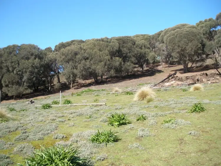 Fifth view of Homely land listing, Lot 1 Palana Road, Palana TAS 7255