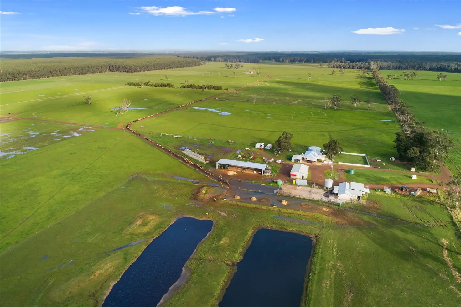Main view of Homely rural property listing, 215 Horans Rd, Carpendeit VIC 3260