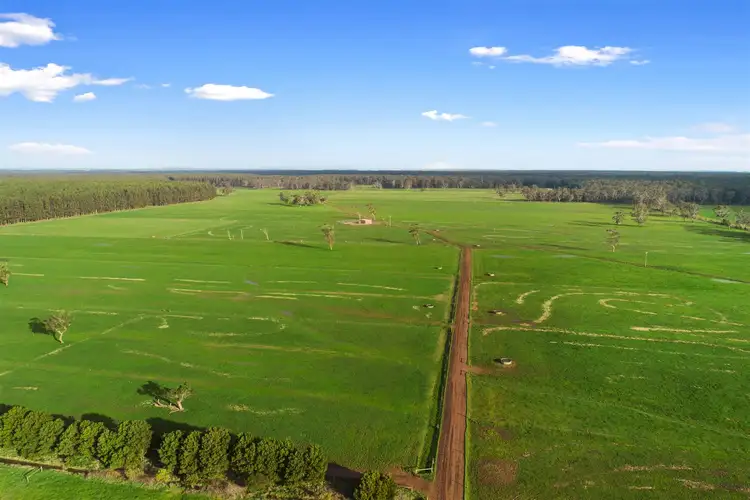 Fourth view of Homely rural property listing, 215 Horans Rd, Carpendeit VIC 3260