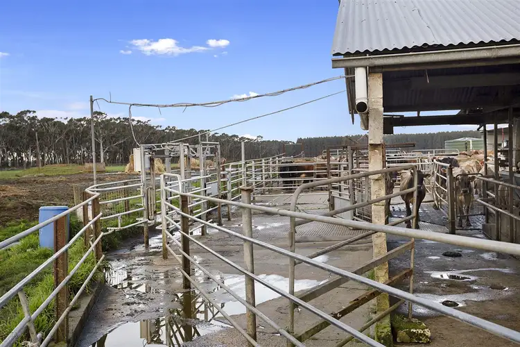 Seventh view of Homely rural property listing, 215 Horans Rd, Carpendeit VIC 3260