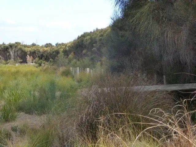 Fourth view of Homely land listing, 473 Palana Road, Whitemark TAS 7255
