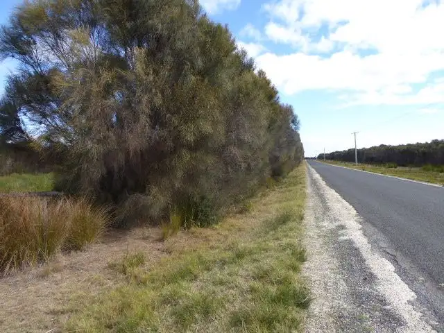 Fifth view of Homely land listing, 473 Palana Road, Whitemark TAS 7255