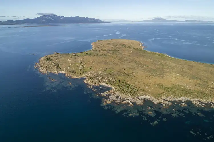 Seventh view of Homely rural property listing, . East Kangaroo Island, Whitemark TAS 7255