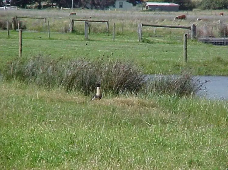 Third view of Homely land listing, Lot 1 James Court, Whitemark TAS 7255