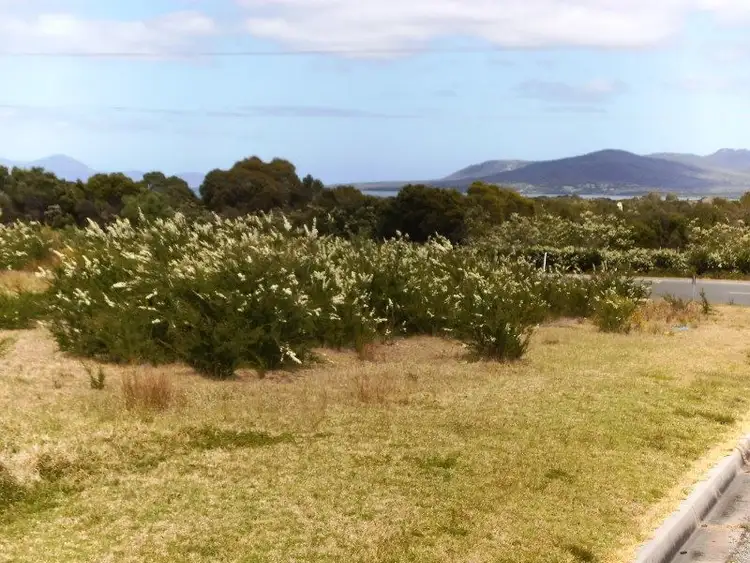 Main view of Homely land listing, 2377 Lady Barron Road, Lady Barron TAS 7255