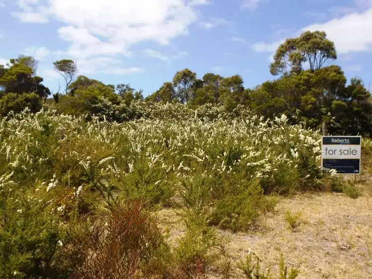 Fifth view of Homely land listing, 2377 Lady Barron Road, Lady Barron TAS 7255