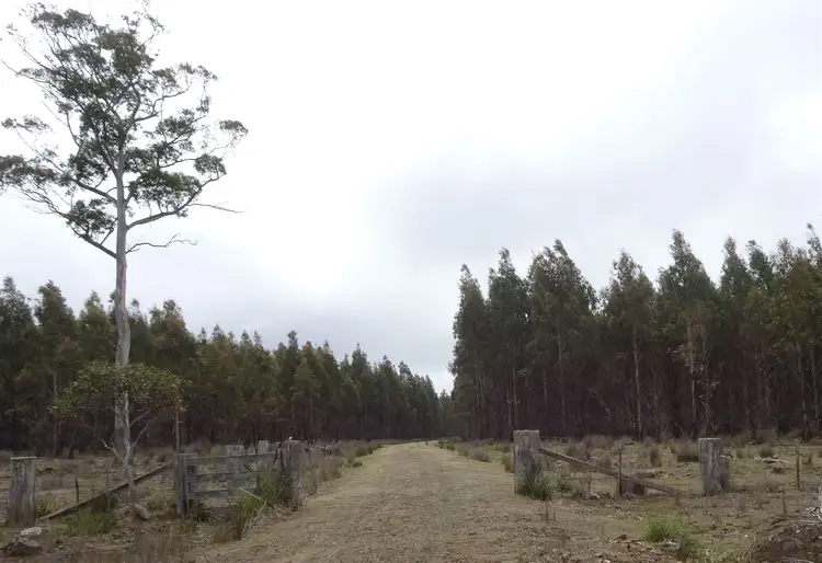 Main view of Homely rural property listing, 365 Long Marsh Road, Lake Leake TAS 7210