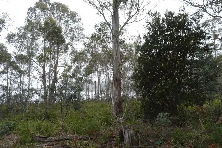 Second view of Homely rural property listing, 365 Long Marsh Road, Lake Leake TAS 7210