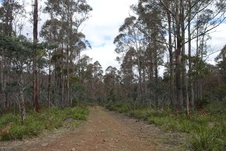 Third view of Homely rural property listing, 365 Long Marsh Road, Lake Leake TAS 7210