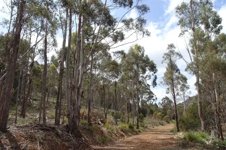 Fourth view of Homely rural property listing, 365 Long Marsh Road, Lake Leake TAS 7210