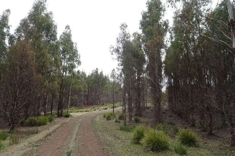 Sixth view of Homely rural property listing, 365 Long Marsh Road, Lake Leake TAS 7210