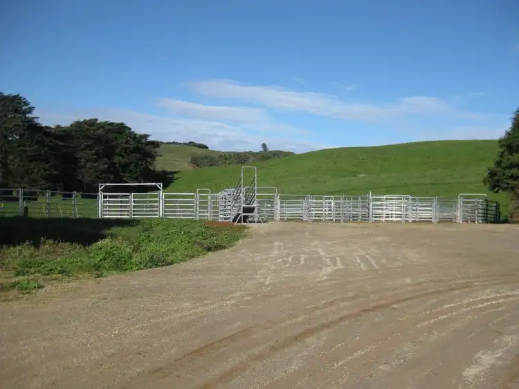 Fourth view of Homely rural property listing, 36 Reids Road, Irishtown TAS 7330