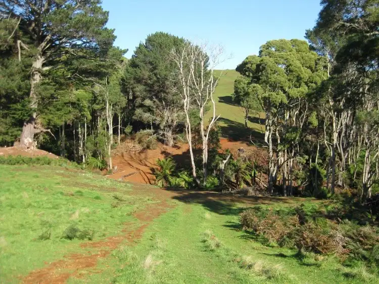 Seventh view of Homely rural property listing, 36 Reids Road, Irishtown TAS 7330
