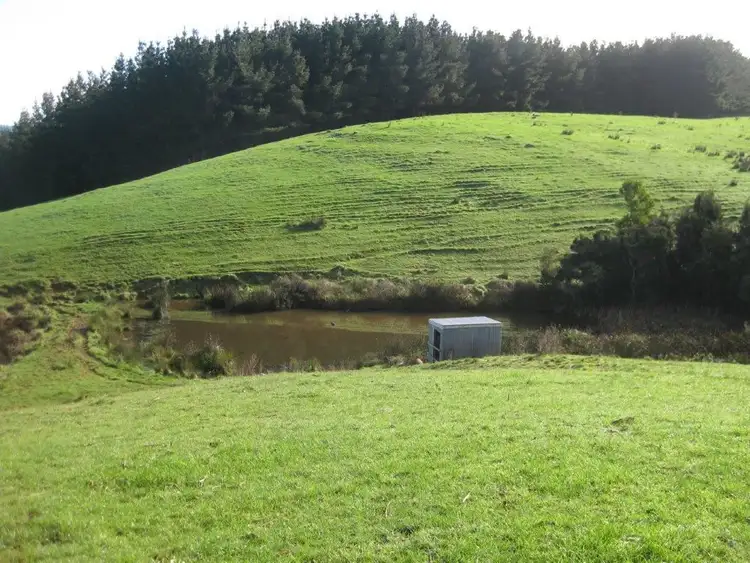 Sixth view of Homely rural property listing, 132 Upper Scotchtown Road, Scotchtown TAS 7330