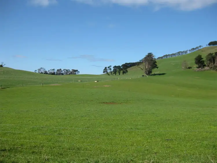 Fourth view of Homely rural property listing, 611 Irishtown Road, Irishtown TAS 7330