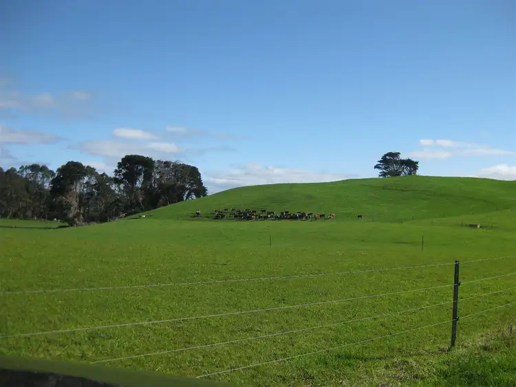 Seventh view of Homely rural property listing, 611 Irishtown Road, Irishtown TAS 7330