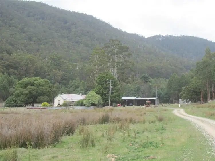 Main view of Homely rural property listing, 330 Kohls Road, Pyengana TAS 7216